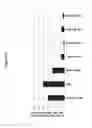 Fig. 45 - Methods and compositions for the specific inhibition of androgen receptor by double-stranded RNA