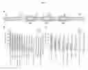 Fig. 08 - OXYGEN-RESPONSIVE BACTERIAL GENE SWITCH