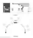 Fig. 04 - Endosperm-specific promoter from the lipid transfer protein 1 gene of 