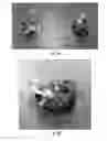 Fig. 08 - METHODS AND COMPOSITIONS FOR PRODUCTION OF RECOMBINANT PHARMACEUTICAL PROTEINS IN MEDICINAL PLANTS