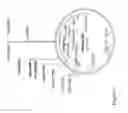Fig. 05 - Methods for Enhancing Stress Tolerance in Plants and Compositions Thereof