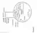 Fig. 06 - Methods for Enhancing Stress Tolerance in Plants and Compositions Thereof
