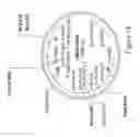 Fig. 19 - Methods for Enhancing Stress Tolerance in Plants and Compositions Thereof