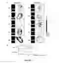 Fig. 07 - METHODS FOR BLADDER CANCER THERAPY USING BACULOVIRAL VECTORS
