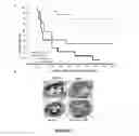 Fig. 08 - METHODS FOR BLADDER CANCER THERAPY USING BACULOVIRAL VECTORS