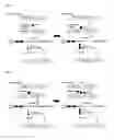Fig. 05 - Useful microorganism and method for producing substance of interest