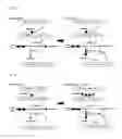 Fig. 06 - Useful microorganism and method for producing substance of interest