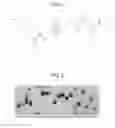 Fig. 02 - DNA encoding dipeptide-synthesizing enzyme (variants), bacterium belonging to the genus , and methods for producing dipeptides using thereof