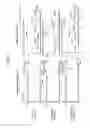 Fig. 05 - DNA encoding dipeptide-synthesizing enzyme (variants), bacterium belonging to the genus , and methods for producing dipeptides using thereof