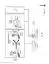 Fig. 11 - ULTRA-RAPID AND SENSITIVE DNA DETECTION USING DNAZYME AND ON-CHIP ISOTACHOPHORESIS