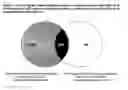 Fig. 07 - Method for detecting or measuring the impact of a viral vector composition on eukaryotic cells and biomarkers used thereof