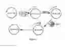 Fig. 02 - Compositions, kits, uses and methods for amplified detection of an analyte