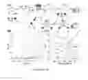 Fig. 04 - Compositions, kits, uses and methods for amplified detection of an analyte