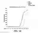 Fig. 05 - METHODS AND ASSAYS RELATING TO HUNTINGTONS DISEASE AND PARKINSON'S DISEASE