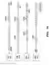 Fig. 15 - METHODS AND ASSAYS RELATING TO HUNTINGTONS DISEASE AND PARKINSON'S DISEASE