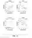 Fig. 18 - METHODS AND ASSAYS RELATING TO HUNTINGTONS DISEASE AND PARKINSON'S DISEASE