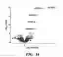 Fig. 24 - METHODS AND ASSAYS RELATING TO HUNTINGTONS DISEASE AND PARKINSON'S DISEASE