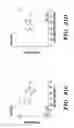 Fig. 28 - METHODS AND ASSAYS RELATING TO HUNTINGTONS DISEASE AND PARKINSON'S DISEASE