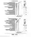 Fig. 30 - METHODS AND ASSAYS RELATING TO HUNTINGTONS DISEASE AND PARKINSON'S DISEASE
