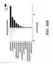 Fig. 31 - METHODS AND ASSAYS RELATING TO HUNTINGTONS DISEASE AND PARKINSON'S DISEASE