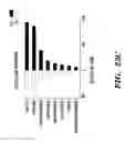 Fig. 32 - METHODS AND ASSAYS RELATING TO HUNTINGTONS DISEASE AND PARKINSON'S DISEASE