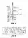 Fig. 06 - METHODS, PROBE SETS, AND KITS FOR DETECTION OF DELETION OF TUMOR SUPPRESSOR GENES BY FLUORESCENCE IN SITU HYBRIDIZATION