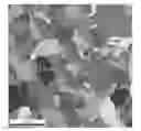 Fig. 01 - THERMO-MECHANICAL PROCESS TO ENHANCE THE QUALITY OF GRAIN BOUNDARY NETWORKS IN METAL ALLOYS