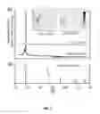 Fig. 03 - Depositing calcium fluoride template layers for solar cells