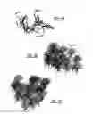 Fig. 05 - System and method for scutching material fibers