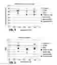 Fig. 04 - Cellulosic product forming process and wet formed cellulosic product