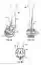 Fig. 42 - Primed siphonic flush toilet