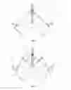 Fig. 02 - Double-pivot synchronization mechanism for opening and closing two leaves