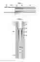 Fig. 02 - Retrievable tubing connector system