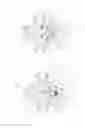 Fig. 08 - Rotor for a turbine or a compressor or a turbine/compressor geometry