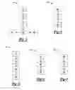 Fig. 04 - Method for determining an estimated amount of soot accumulated in a particulate filter of an exhaust gas after-treatment system