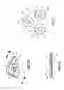 Fig. 22 - VIBRATION-REDUCING STRUCTURE FOR COMPRESSING DIAPHRAGM PUMP