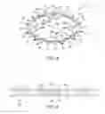 Fig. 07 - Bicycle sprocket