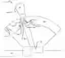 Fig. 01 - LOCK IN DRIVE MECHANISM FOR ASSEMBLING AN AUTOMATIC TRANSMISSION