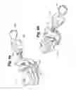 Fig. 06 - Pole clamp