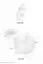 Fig. 09 - Light emitting module