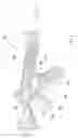 Fig. 02 - Firearm