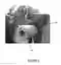 Fig. 06 - Rotational safety device for firearm