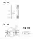 Fig. 10 - INFORMATION NOTIFICATION SYSTEM, TRANSMITTING DEVICE, AND RECEIVING DEVICE