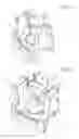Fig. 02 - Apparatus and method for producing analysis samples