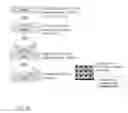 Fig. 06 - DIFFERENTIAL DETECTION FOR SURFACE PLASMON RESONANCE SENSOR AND METHOD
