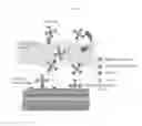 Fig. 07 - BIOMARKER DETECTING PROBE CAPABLE OF EARLY DETECTION AND PRECISE QUANTIFICATION AND USE THEREOF
