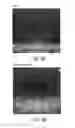 Fig. 06 - Inner image generating apparatus and method thereof