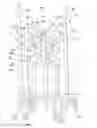 Fig. 01 - Chromatography column frame and method of conducting maintenance on and packing of a chromatography column