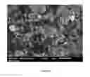 Fig. 05 - Boron and lithium isotopic method for tracing hydrocarbons and their by-products