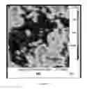 Fig. 11 - Boron and lithium isotopic method for tracing hydrocarbons and their by-products